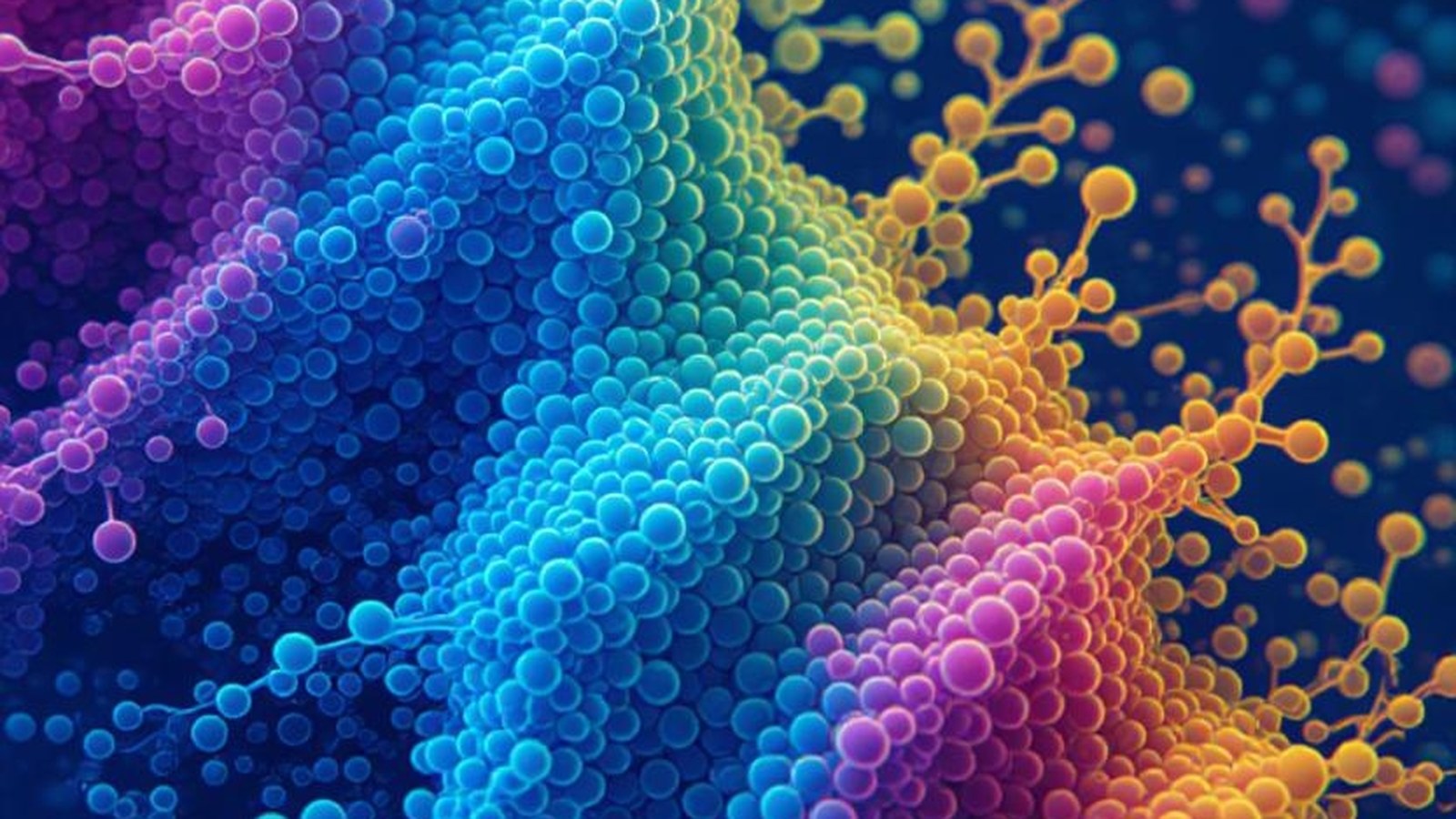 Biomedical Ontologies