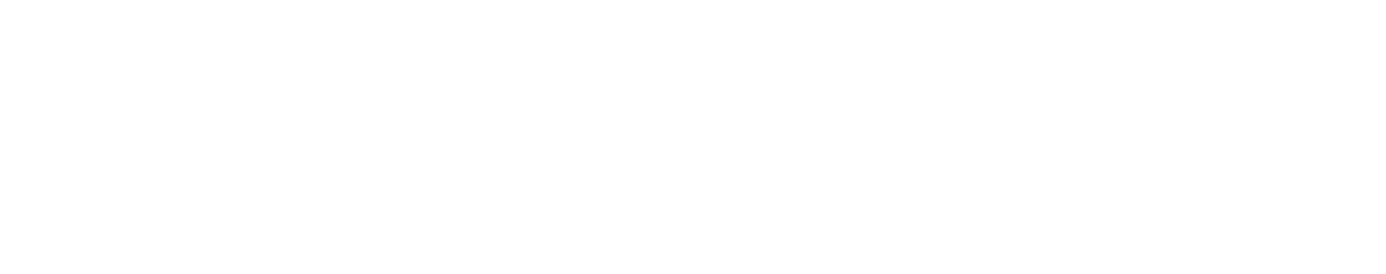 TrafficVision